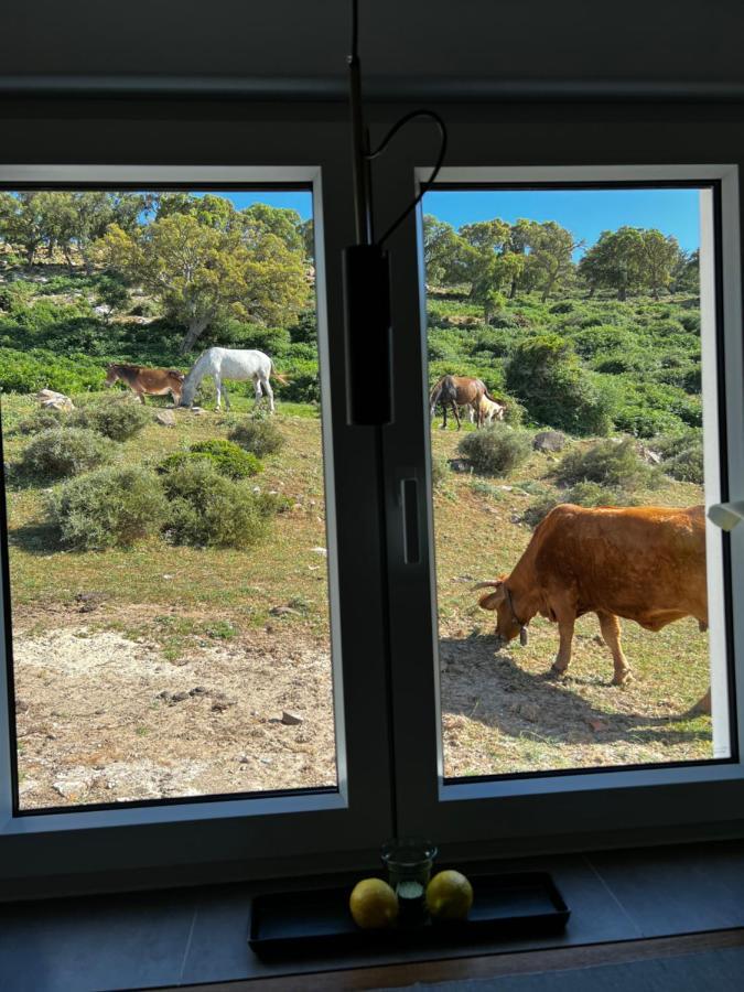 Cortijo Las Cabrerizas Facinas Luaran gambar
